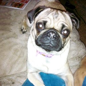 Meet your Posher, Kelley